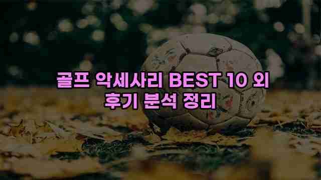  골프 악세사리 BEST 10 외 후기 분석 정리