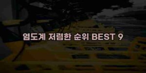 알리파파의 가성비 알리 제품 추천 33761 75