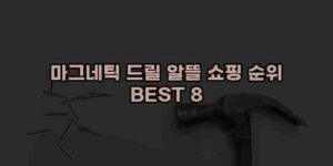 알리파파의 가성비 알리 제품 추천 27680 72