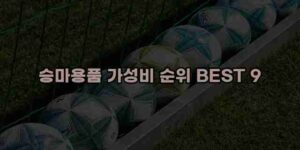 알리파파의 가성비 알리 제품 추천 43602 17