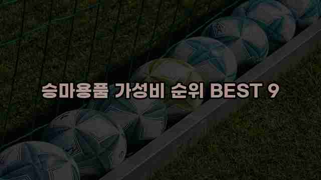 승마용품 가성비 순위 BEST 9