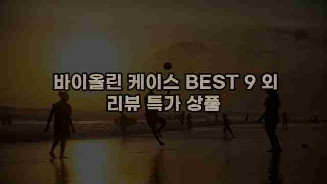  바이올린 케이스 BEST 9 외 리뷰 특가 상품