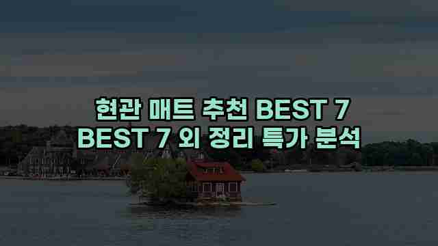  현관 매트 추천 BEST 7 BEST 7 외 정리 특가 분석