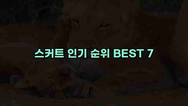 스커트 인기 순위 BEST 7