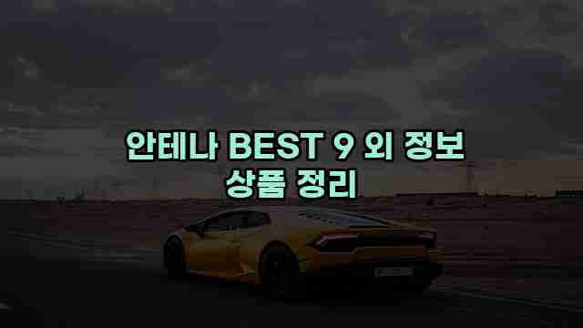  안테나 BEST 9 외 정보 상품 정리