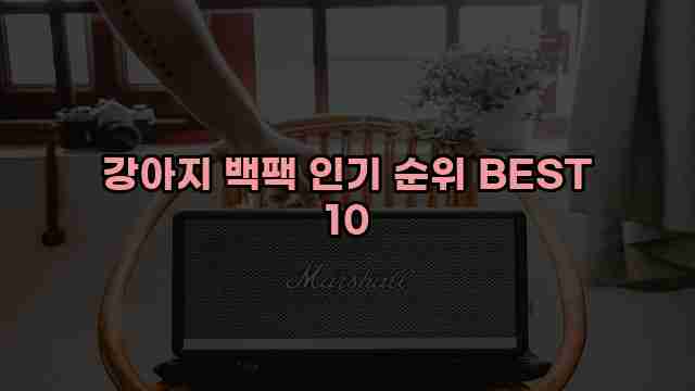 강아지 백팩 인기 순위 BEST 10