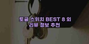 알리파파의 가성비 알리 제품 추천 49173 13