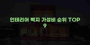 알리파파의 가성비 알리 제품 추천 36208 131