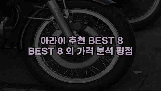  아라이 추천 BEST 8 BEST 8 외 가격 분석 평점