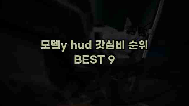 모델y hud 갓심비 순위 BEST 9