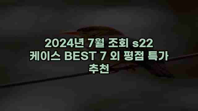 2024년 7월 조회 s22 케이스 BEST 7 외 평점 특가 추천