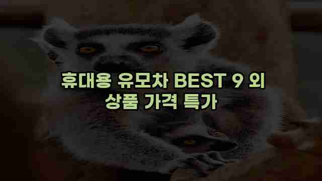  휴대용 유모차 BEST 9 외 상품 가격 특가