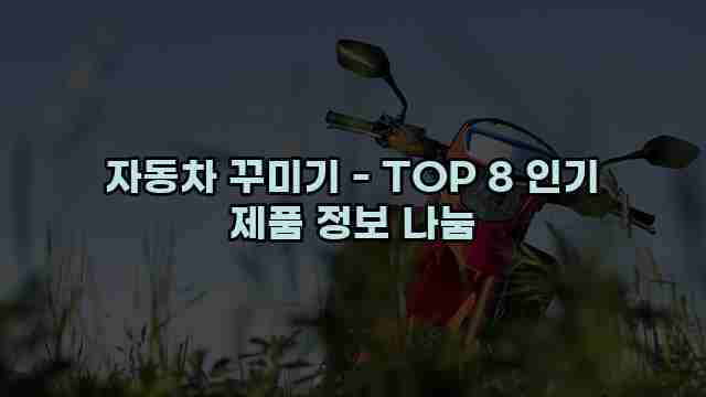 자동차 꾸미기 - TOP 8 인기 제품 정보 나눔