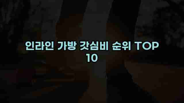 인라인 가방 갓심비 순위 TOP 10