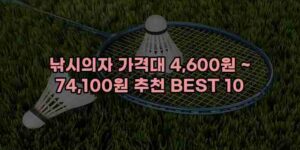 알리파파의 가성비 알리 제품 추천 46918 33