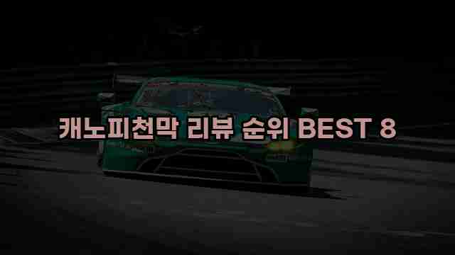 캐노피천막 리뷰 순위 BEST 8