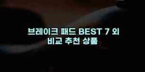 알리파파의 가성비 알리 제품 추천 29981 55