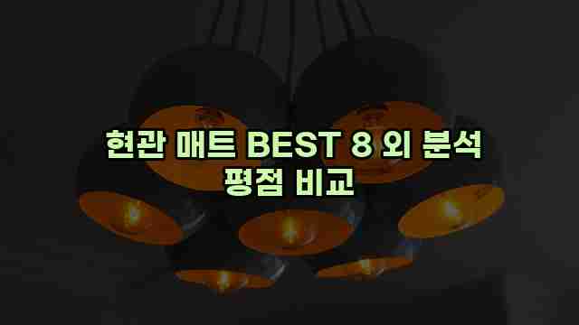  현관 매트 BEST 8 외 분석 평점 비교