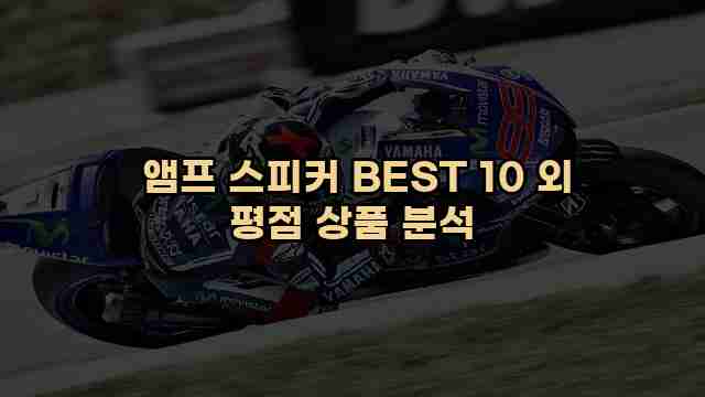  앰프 스피커 BEST 10 외 평점 상품 분석