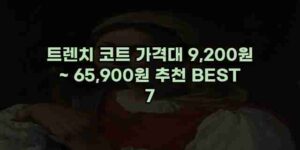 알리파파의 가성비 알리 제품 추천 51527 27