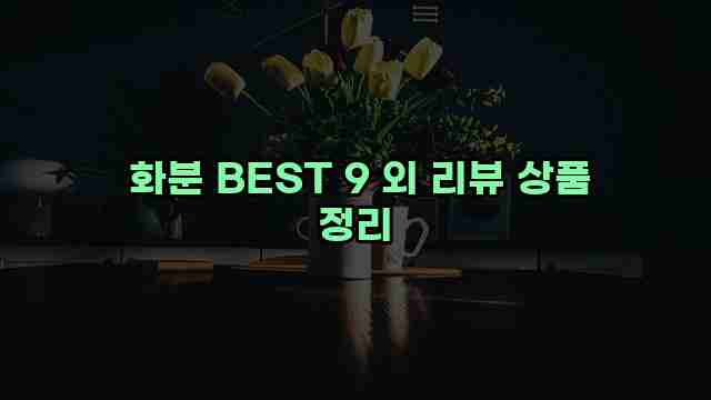  화분 BEST 9 외 리뷰 상품 정리