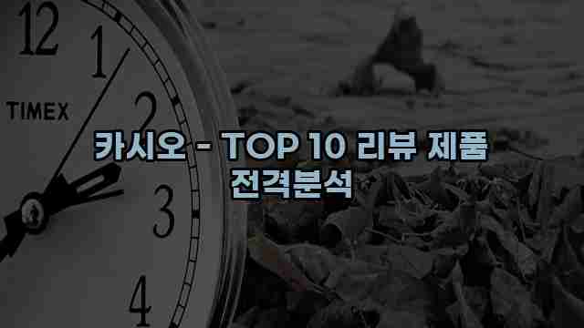 카시오 - TOP 10 리뷰 제품 전격분석