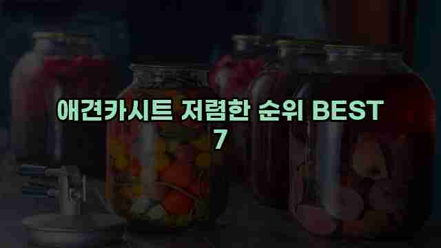 애견카시트 저렴한 순위 BEST 7