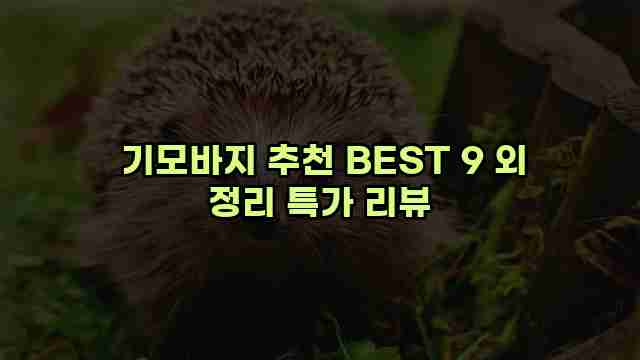  기모바지 추천 BEST 9 외 정리 특가 리뷰