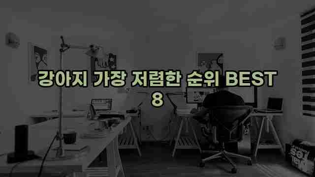 강아지 가장 저렴한 순위 BEST 8