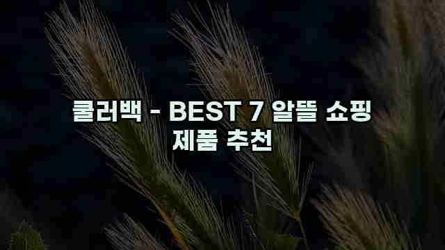 쿨러백 - BEST 7 알뜰 쇼핑 제품 추천