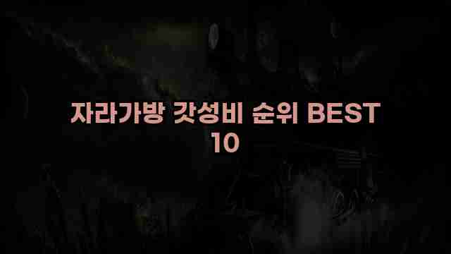 자라가방 갓성비 순위 BEST 10