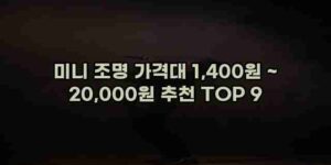 알리파파의 가성비 알리 제품 추천 34765 15