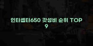 알리파파의 가성비 알리 제품 추천 35030 17