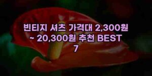 알리파파의 가성비 알리 제품 추천 32370 93