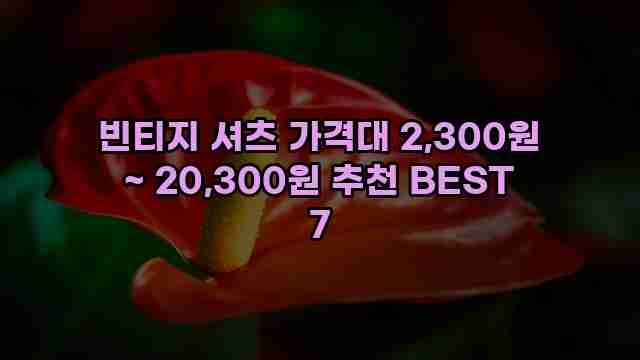 빈티지 셔츠 가격대 2,300원 ~ 20,300원 추천 BEST 7