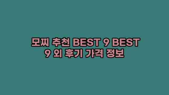  모찌 추천 BEST 9 BEST 9 외 후기 가격 정보