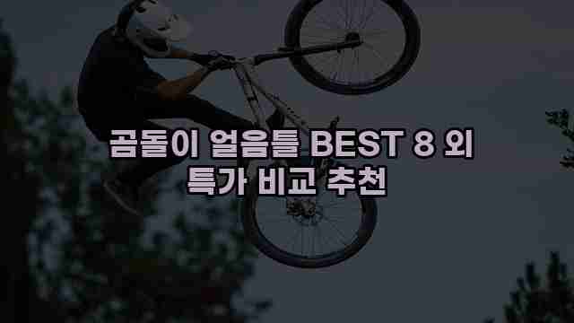  곰돌이 얼음틀 BEST 8 외 특가 비교 추천