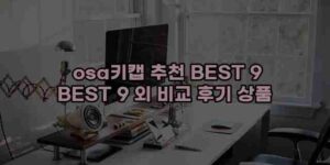 알리파파의 가성비 알리 제품 추천 30340 1