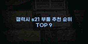 알리파파의 가성비 알리 제품 추천 39478 13
