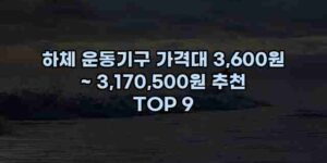 알리파파의 가성비 알리 제품 추천 49872 29