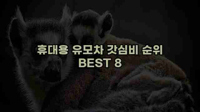 휴대용 유모차 갓심비 순위 BEST 8