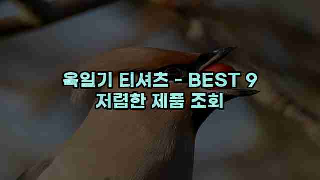 욱일기 티셔츠 - BEST 9 저렴한 제품 조회