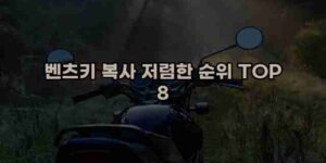 알리파파의 가성비 알리 제품 추천 30816 1