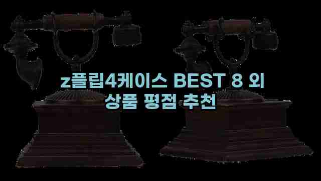  z플립4케이스 BEST 8 외 상품 평점 추천