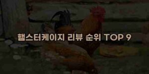 알리파파의 가성비 알리 제품 추천 28848 15