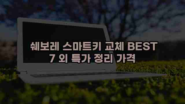  쉐보레 스마트키 교체 BEST 7 외 특가 정리 가격