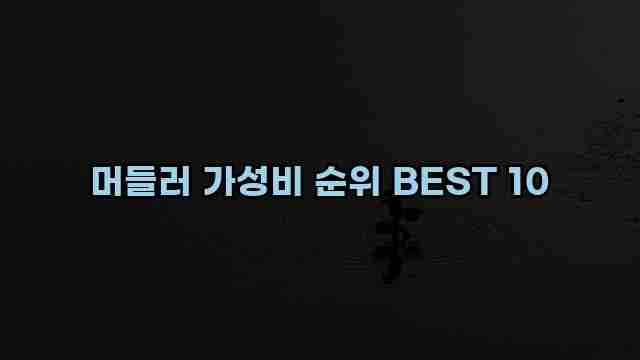 머들러 가성비 순위 BEST 10