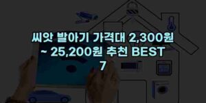 알리파파의 가성비 알리 제품 추천 31191 1