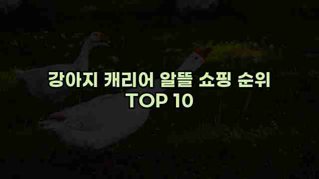 강아지 캐리어 알뜰 쇼핑 순위 TOP 10