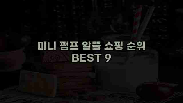 미니 펌프 알뜰 쇼핑 순위 BEST 9